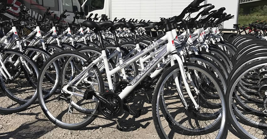 Noleggio 50 biciclette
